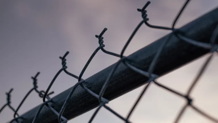 security fence systems